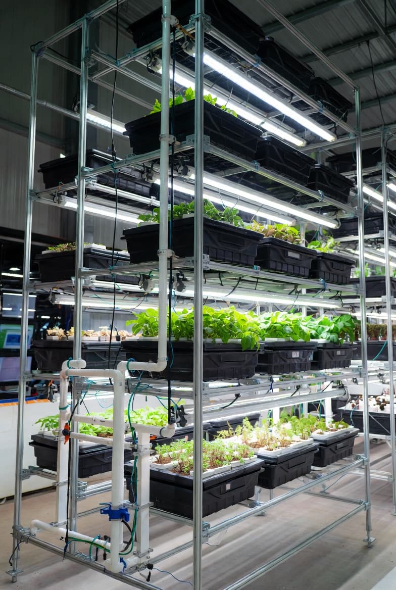 공간 효율 극대화 구조