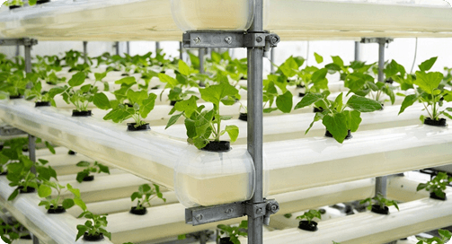 순환형 수경 재배 구조